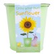 image 1 of Easter Grow Your Own Flowers Strawberry / Sunflower Assortment
