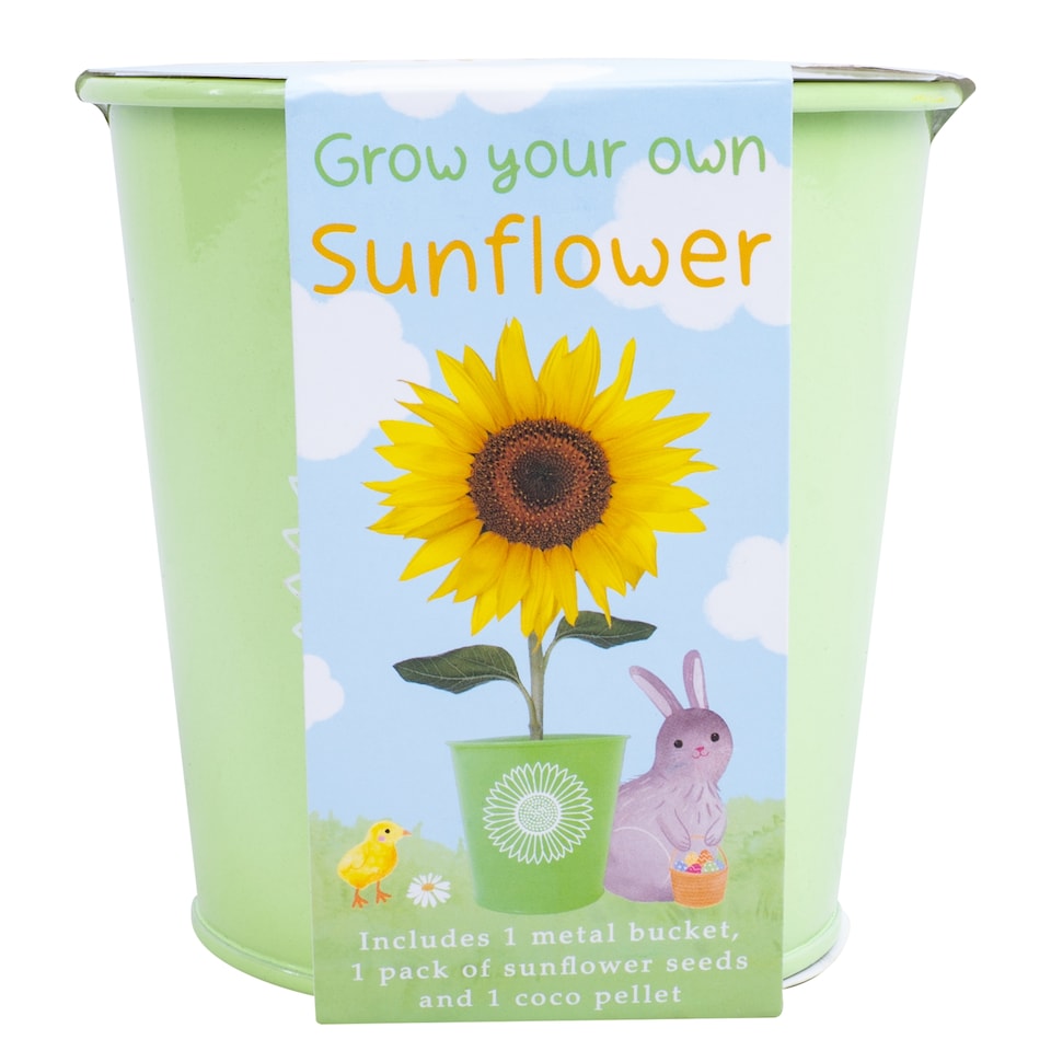 image 1 of Easter Grow Your Own Flowers Strawberry / Sunflower Assortment