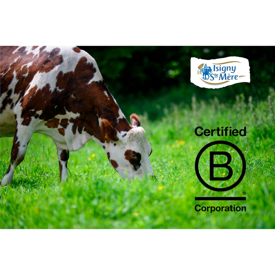 image 1 of Isigny Ste Mere Petit Camembert 150g