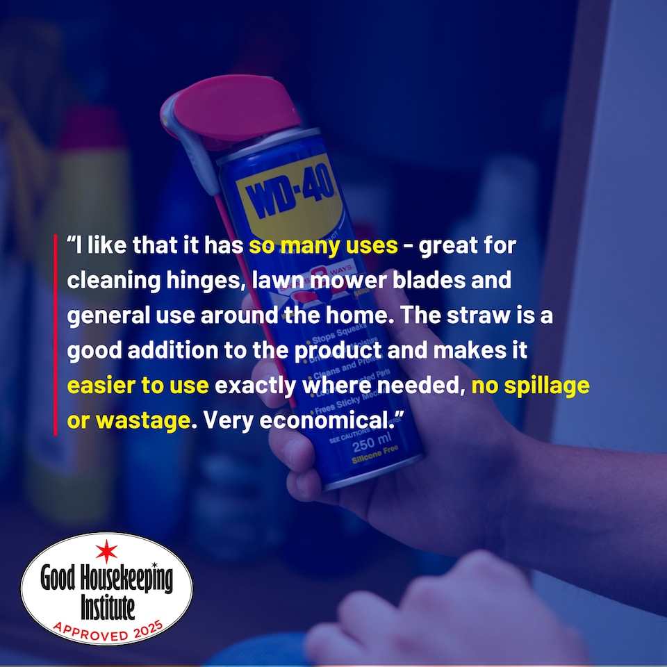 image 1 of WD-40 250ml