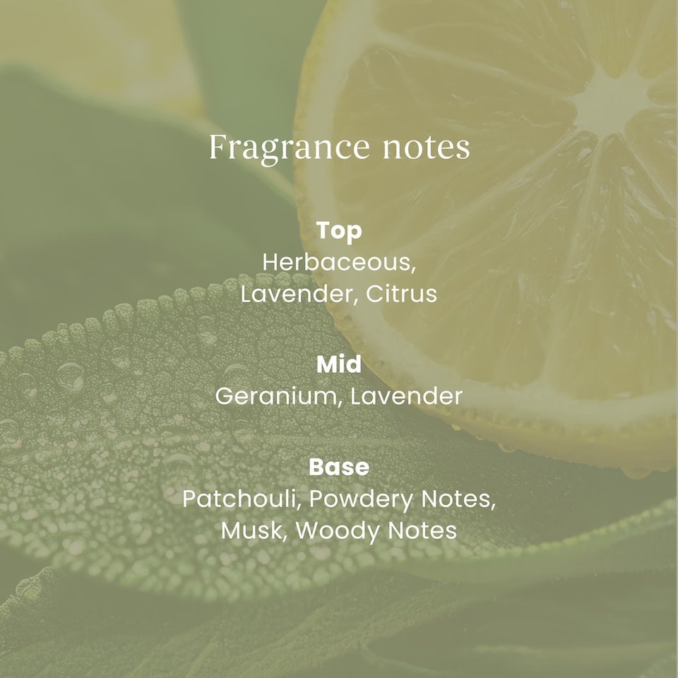 image 1 of Yankee Candle Signature Large Jar Sage & Citrus 567g