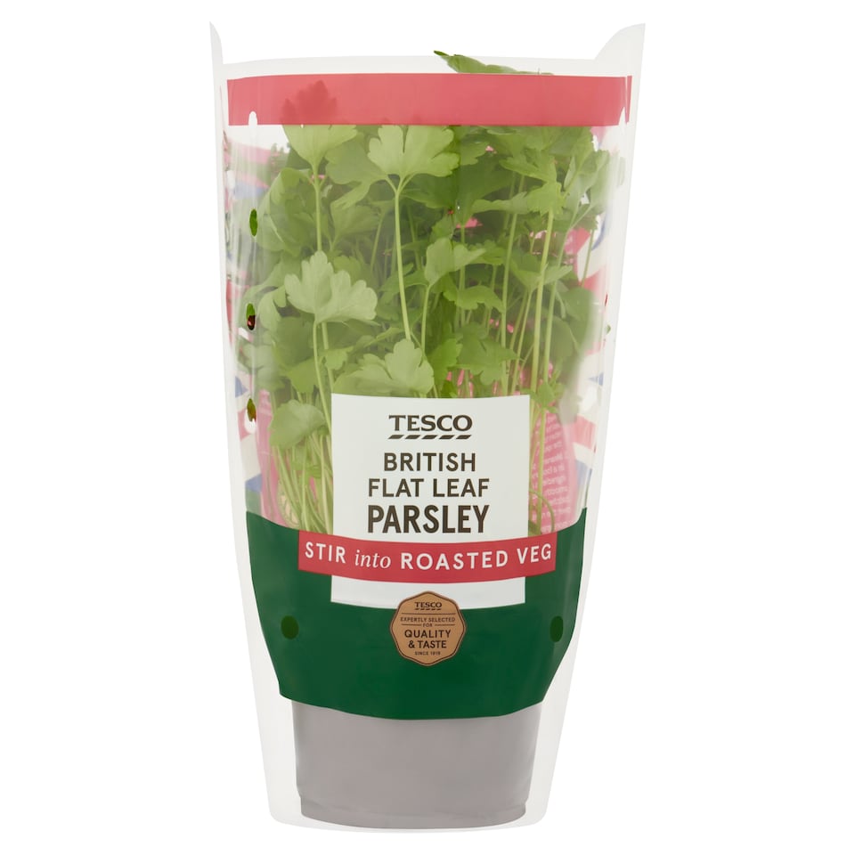 image 1 of Tesco Flat Leaf Parsley Medium Pot