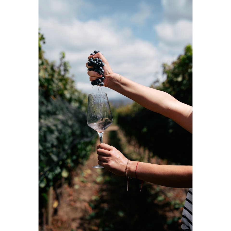 image 1 of Trapiche Reserve Malbec 1.5L
