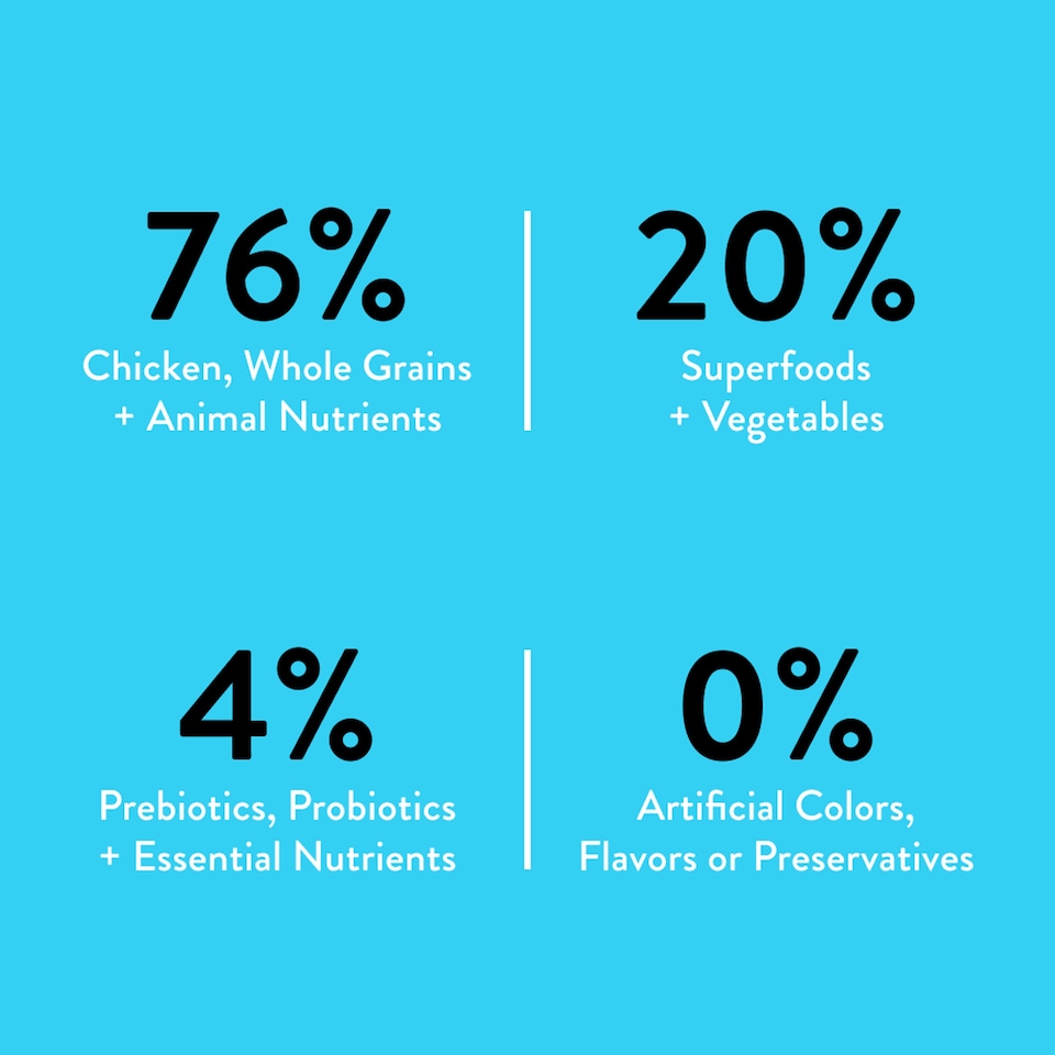 image 1 of Nood Cat Premium Cage Free Chicken Recipe 800G