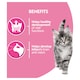 image 5 of PURINA ONE Kitten Mini Fillets Salmon and Chicken Wet Cat Food 8x85g