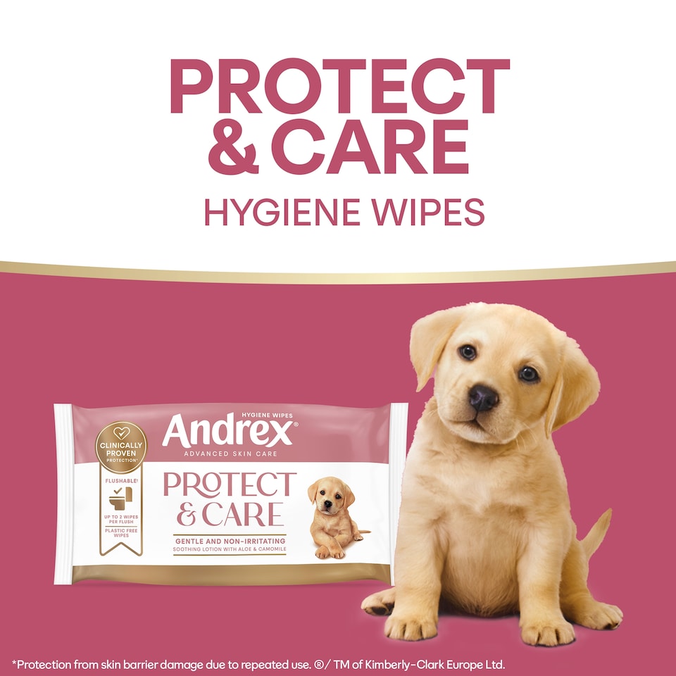 image 1 of Andrex Hygiene Wipes - Protect & Care 36 wipes