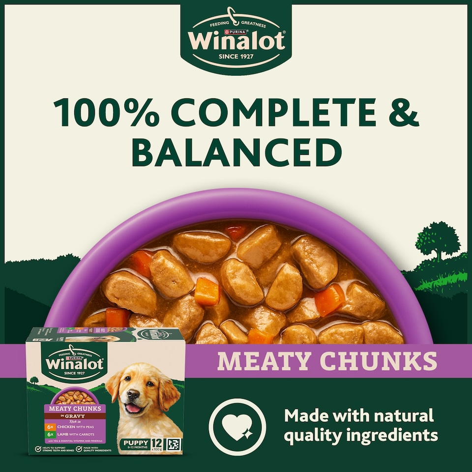 image 1 of WINALOT Meaty Chunks Puppy Mixed in Gravy Wet Dog Food 12x100g