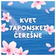 obrázok 5 z Lenor Aviváž 59 Praní, Japanese Blossom
