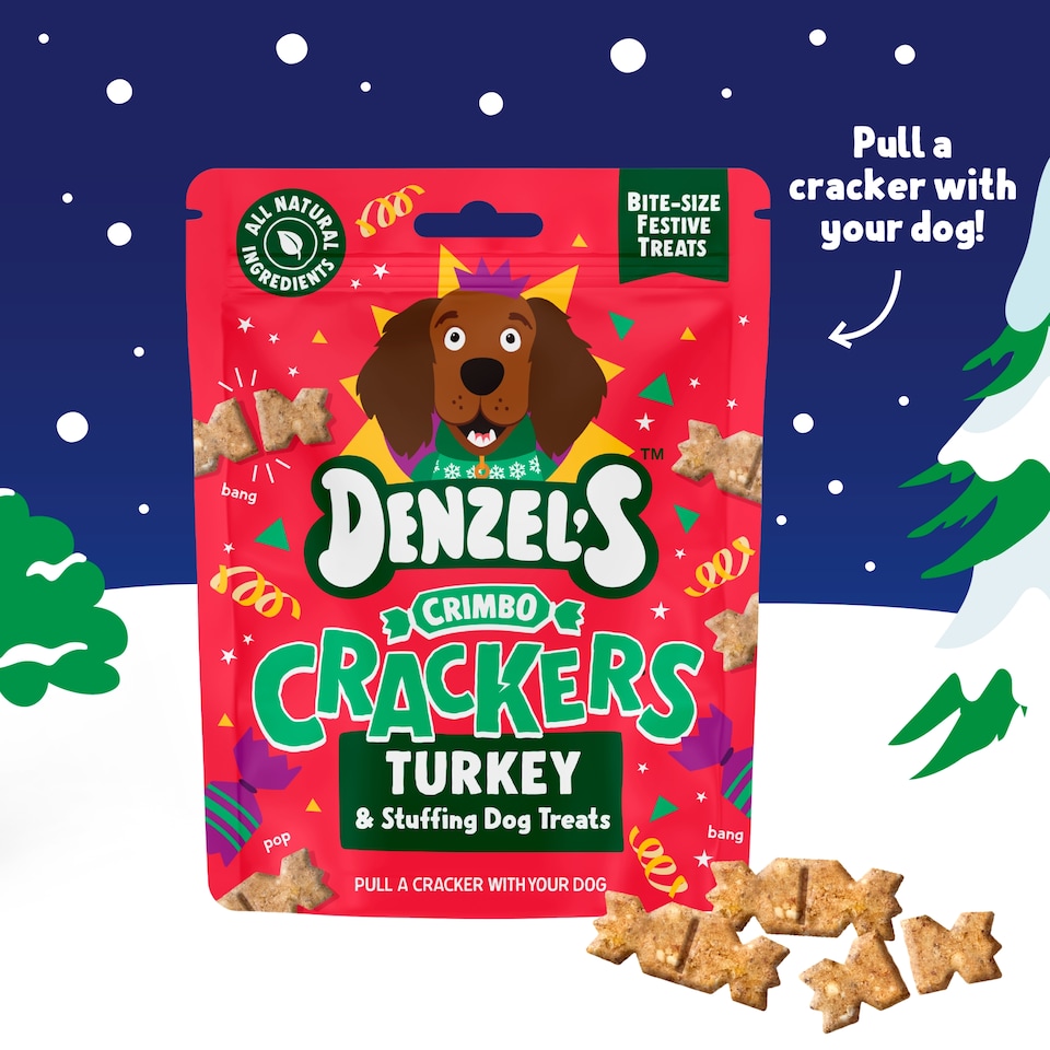 image 1 of Denzel’s Crimbo Crackers: Turkey & Stuffing Dog Treats 90g