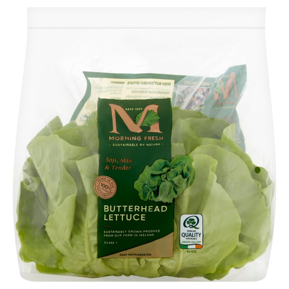 Morning Fresh Butterhead Lettuce Tesco Groceries