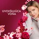 obrázok 4 z Lenor Aviváž, , Ruby Jasmine 47 praní