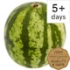 image 1 of Tesco Mini Watermelon