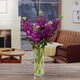 image 2 of Tesco Scented Stocks Bunch