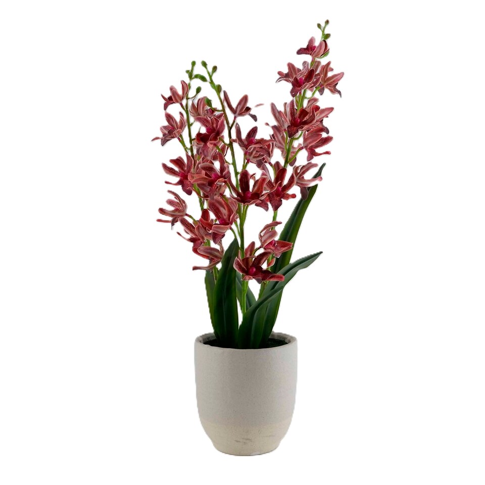 Bayswood Artificial Pink Orchid In Ceramic Pot