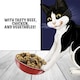 image 4 of Felix Dry Doubly Delicious Beef, Chicken & Vegetables Cat Food 2kg