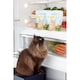 image 4 of Freshpet Grilled Chicken Recipe Cat Food 400g