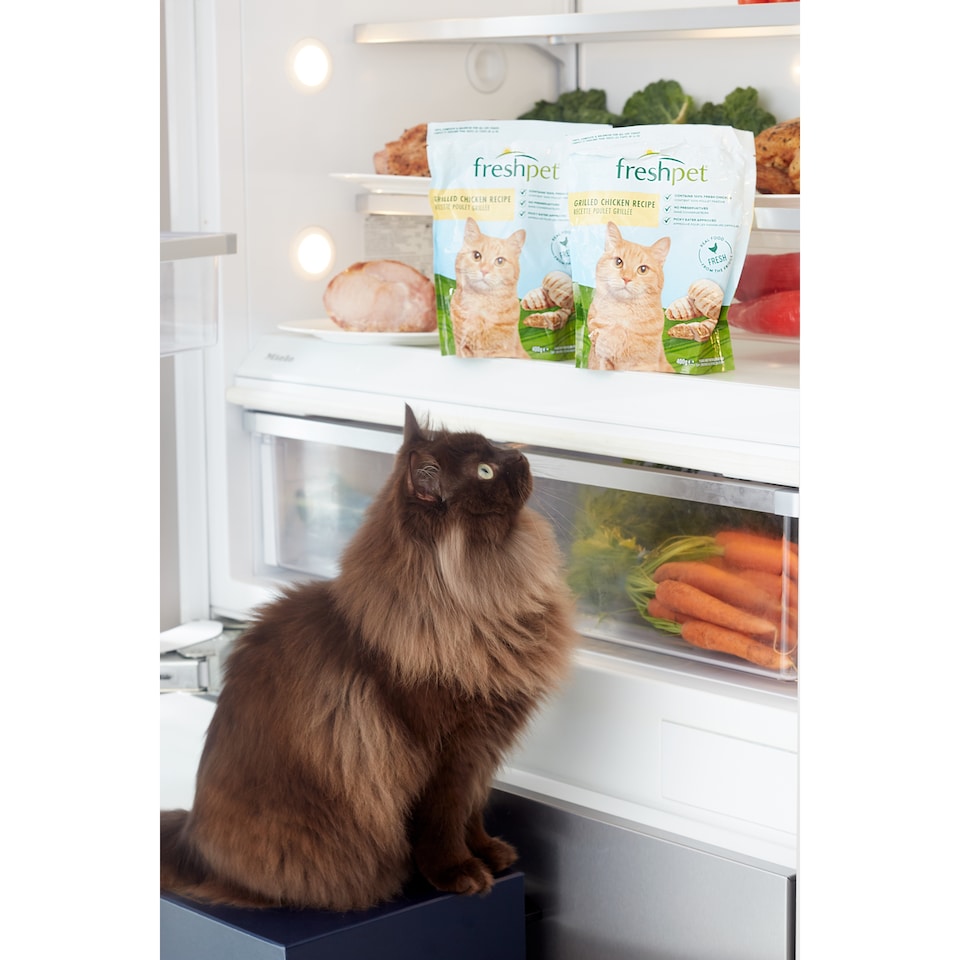 image 1 of Freshpet Grilled Chicken Recipe Cat Food 400g