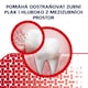 image 5 of Parodontax Dásně + Dech & Citlivé zuby zubní pasta proti zápachu z úst 75ml