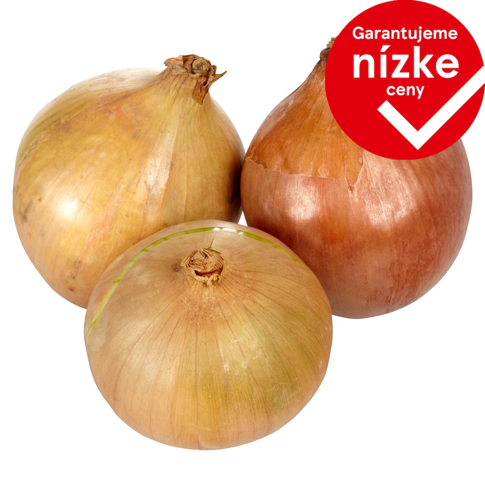 Cibuľa voľná