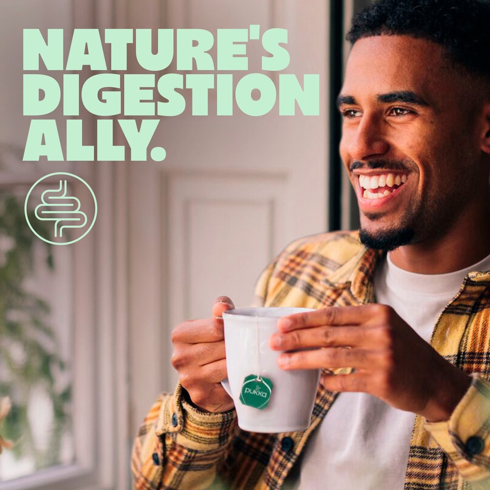 image 1 of Pukka Organic Three Mint Tea With Peppermint for Digestion 20 Herbal Tea Bags 32g