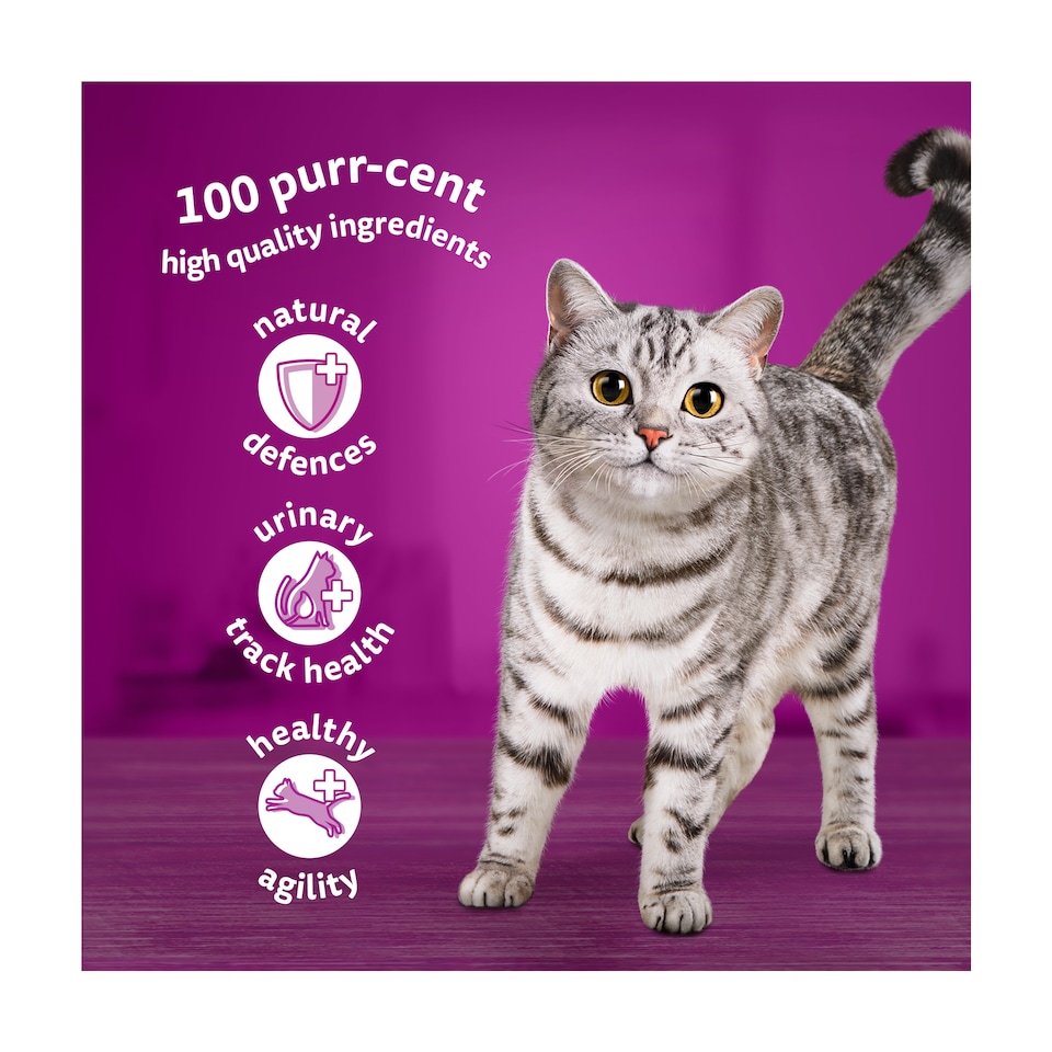 image 1 of Whiskas 7+ Senior Cat Food Pouches Mixed Menu in Gravy 12X85g