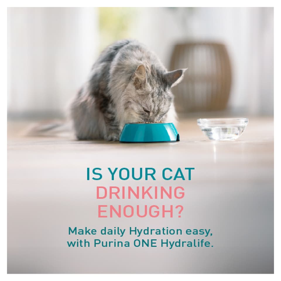 image 1 of Purina ONE HYDRALIFE with Salmon Cat Compliment 6x50g
