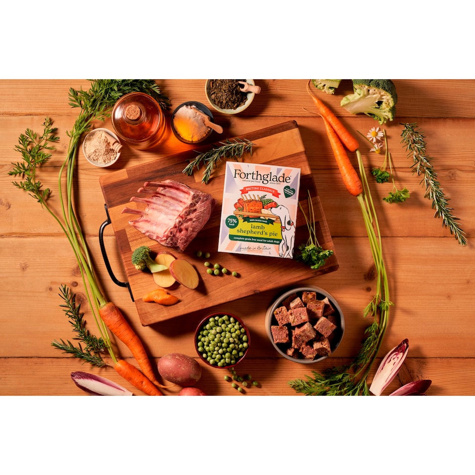 image 1 of Forthglade Grain Free British Classics Lamb Shepherds Pie Adult Dog Food 395g