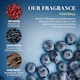 image 4 of Baylis & Harding Football  Bath Kit Gift Set