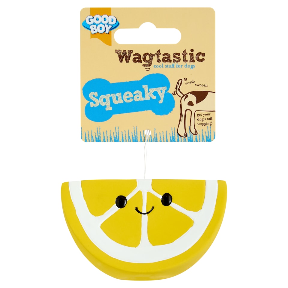 image 1 of Good Boy Wagtastic Squeaky Mix Dog Toy