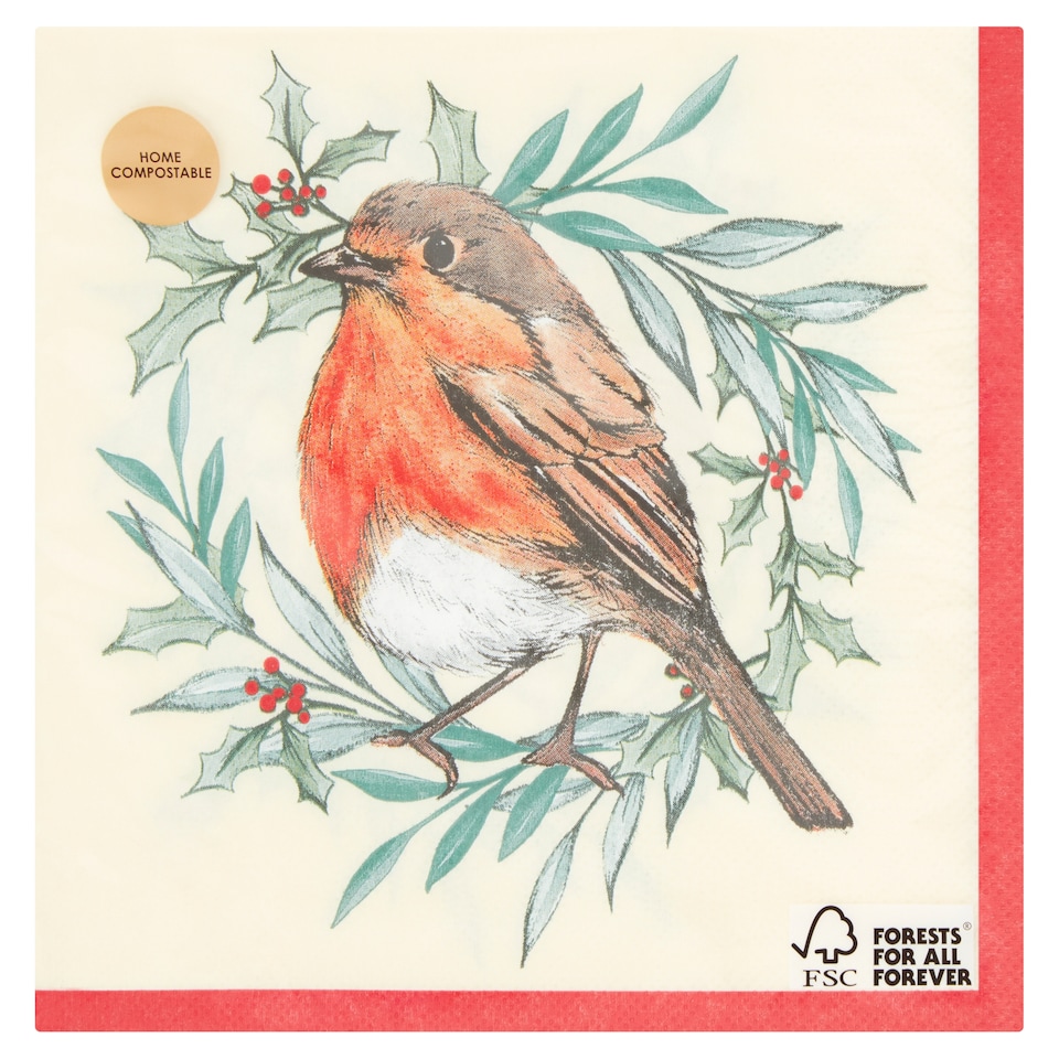 Tesco Christmas Robin Napkin 33Cm 3Ply 20 Pack