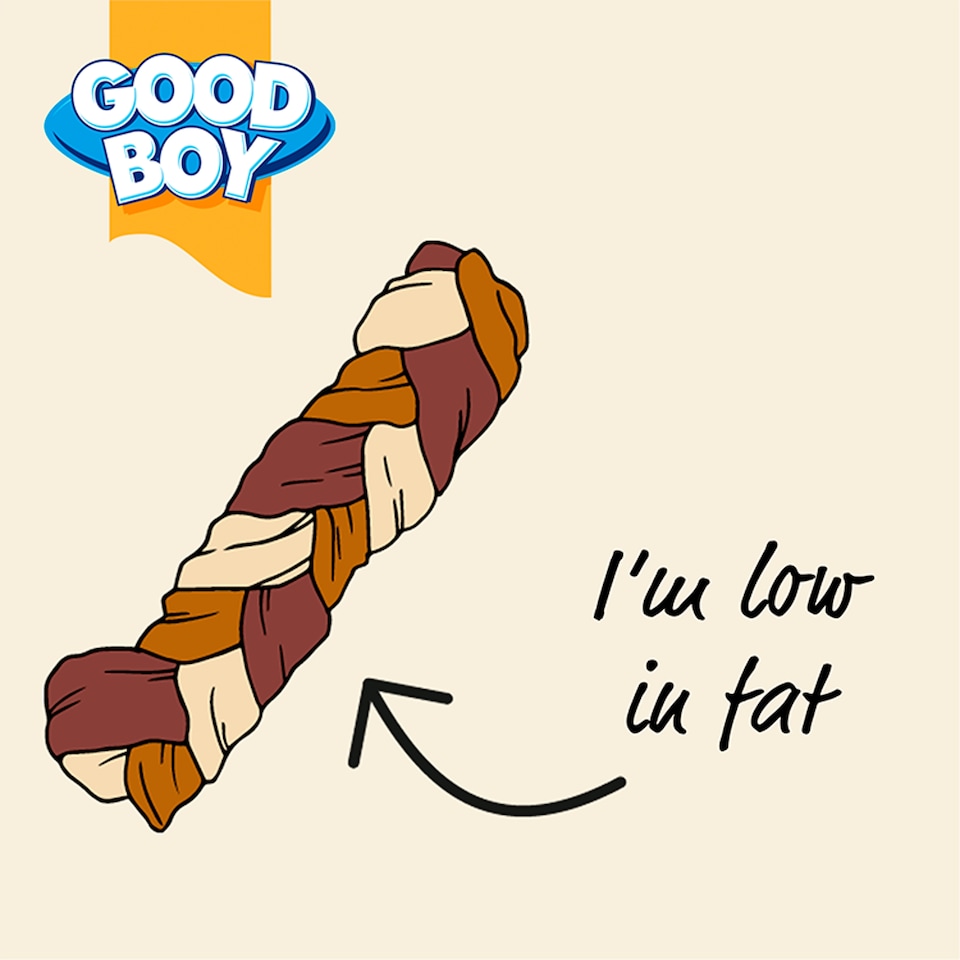 image 1 of Good Boy Wagtastic Large Chewy Braid 80G