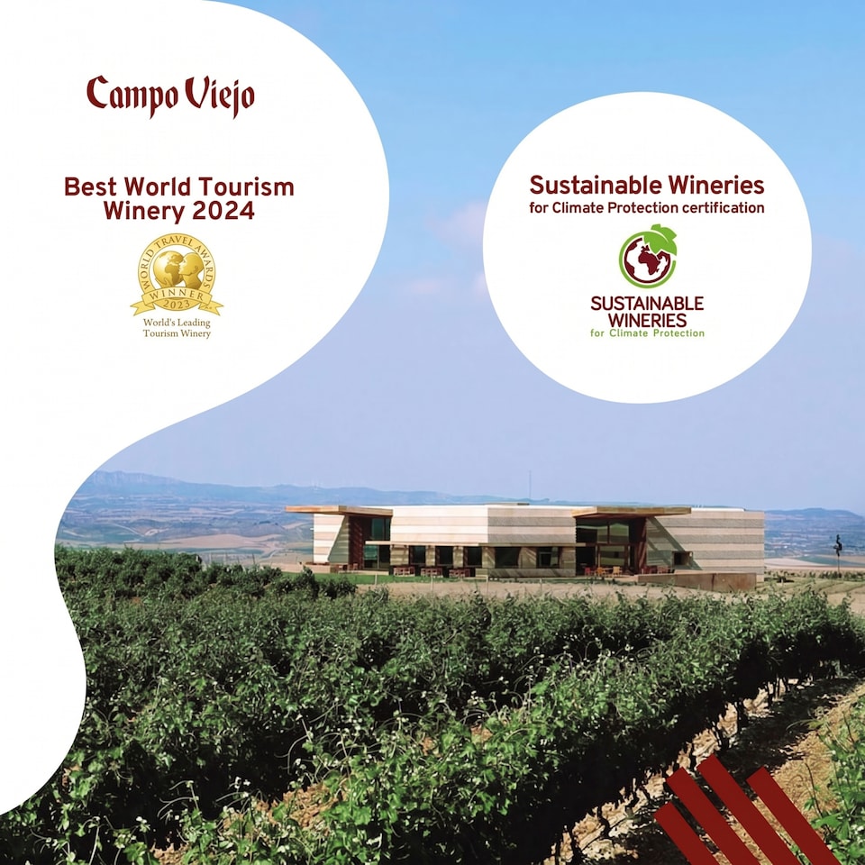 image 1 of Campo Viejo Rioja Blanco White Wine 75Cl