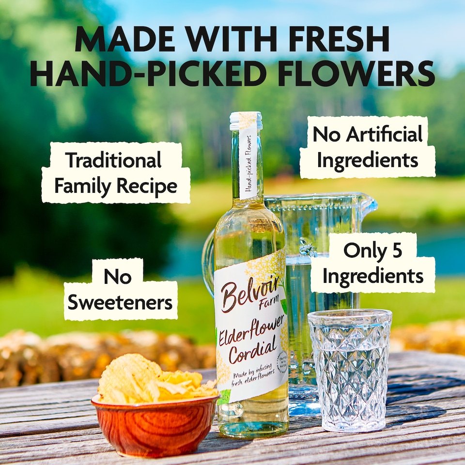 image 1 of Belvoir Elderflower Cordial 500Ml