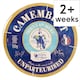 image 1 of Isigny Ste Mere Petit Camembert 150g
