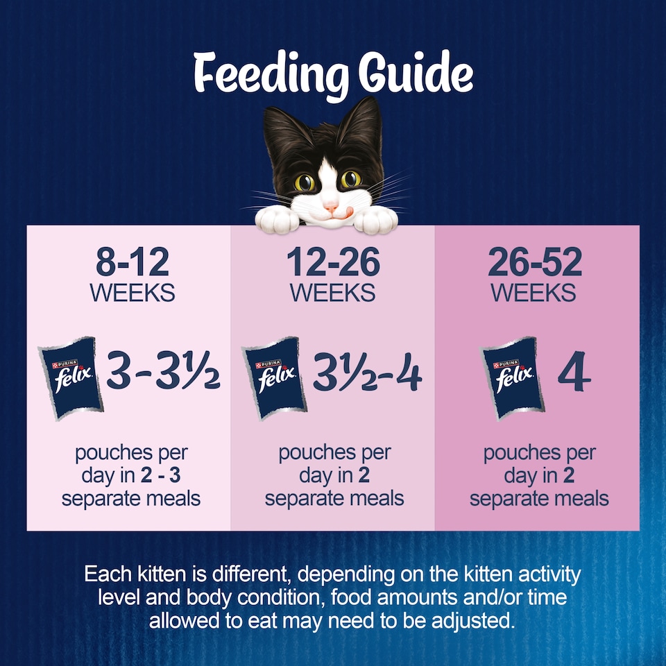image 1 of Felix As Good As it Looks Kitten Fish in Jelly Wet Cat Food 12x85g