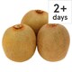 image 1 of Tesco Large Kiwi Fruit Each