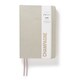 image 1 of Agenzio Soft Touch Medium 2025 Diary Champagne Gold