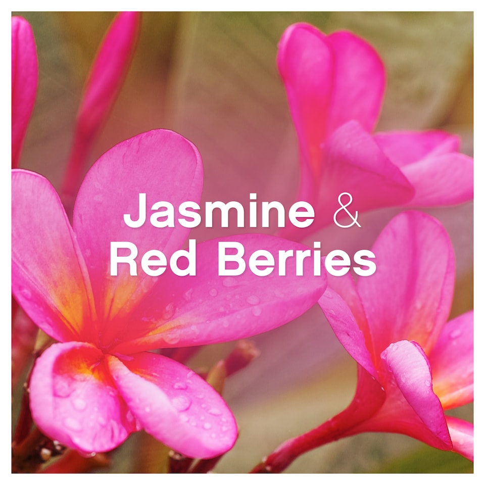 image 1 of Lenor Fabric Conditioner Jasmine & Red Berries 42 Washes 1.386Ltr