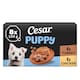 image 1 of CESAR Puppy Wet Dog Food Trays 8 x 150g