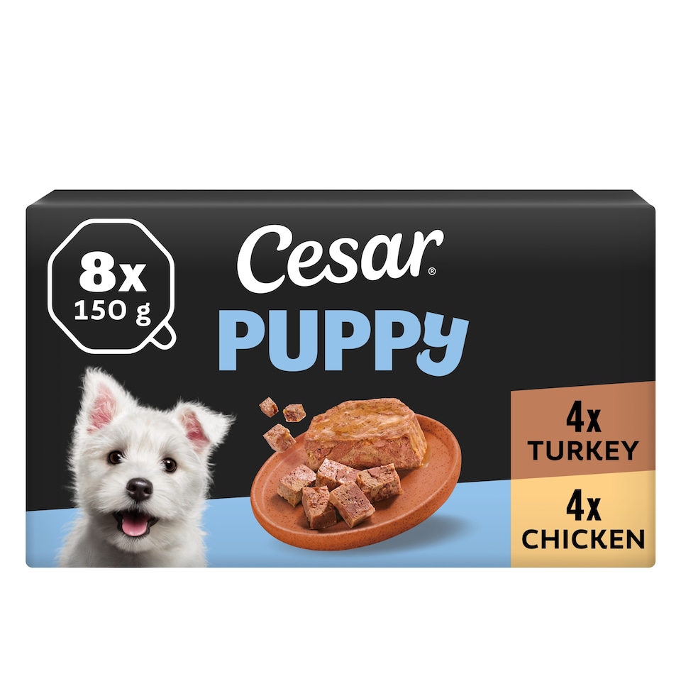 image 1 of CESAR Puppy Wet Dog Food Trays 8 x 150g