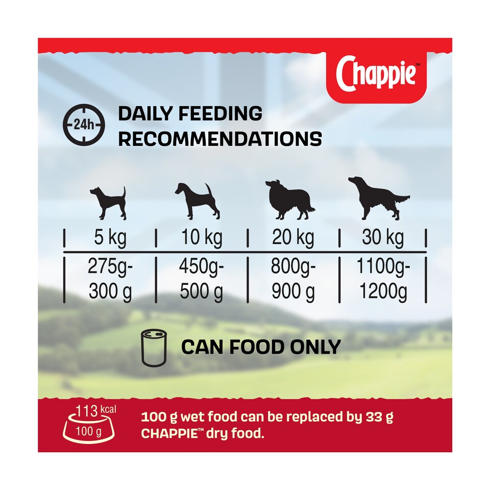 image 1 of Chappie Original 412G