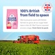 image 4 of Silver Spoon British Icing Sugar 3Kg