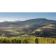 image 5 of Errazuriz Estate Reserva Pinot Noir 75Cl