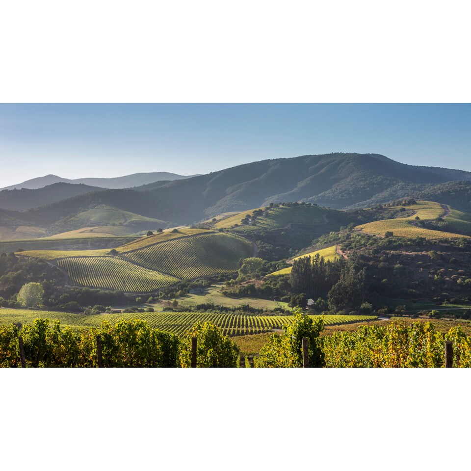 image 1 of Errazuriz Estate Reserva Pinot Noir 75Cl