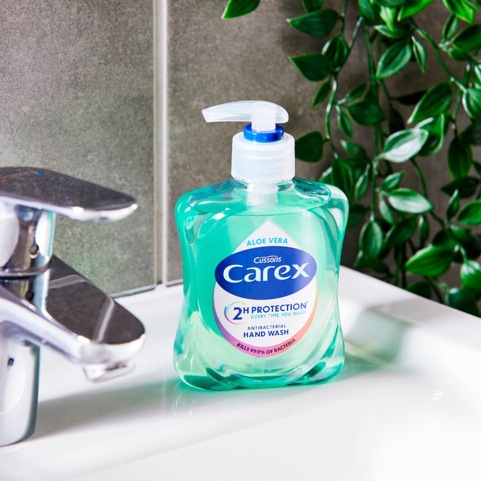 image 1 of Carex Handwash Aloe Vera 250Ml