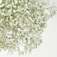 image 4 of Seasonal Fillers