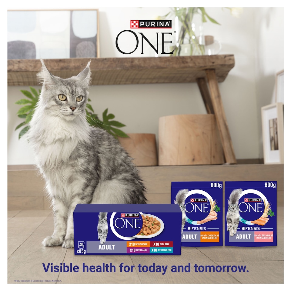 image 1 of PURINA ONE Mini Fillets Chicken and Beef Wet Cat Food 8x85g