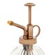image 2 of Fox & Ivy Refreshing Glass Water Mister