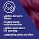 image 3 of Schwarzkopf Live Colour + Lift Permanent Hair Dye - Ultra Violet L76