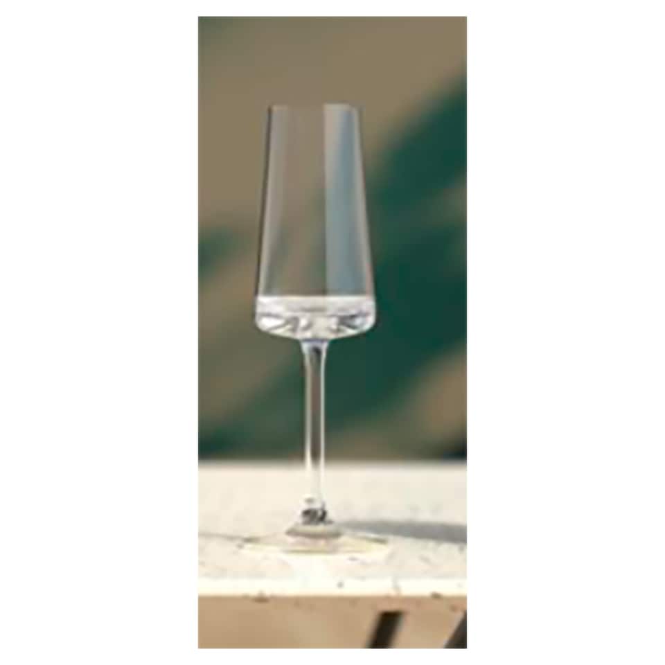 F&F Home Soho Champagne Glass 4 Pack